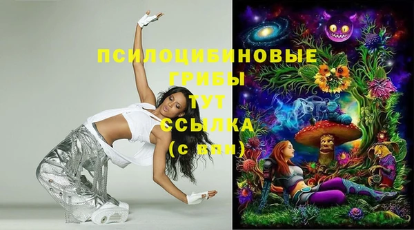 бошки Алексеевка