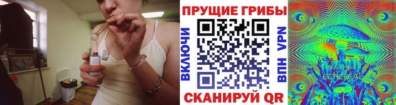 закладка Бикин Галлюциногенные грибы Magic Shrooms