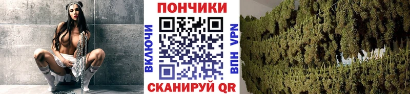 Канабис план  Бикин 